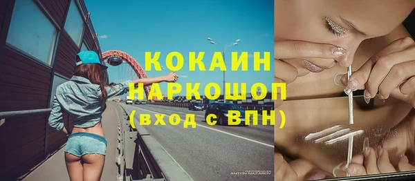 ГАЛЛЮЦИНОГЕННЫЕ ГРИБЫ Сясьстрой